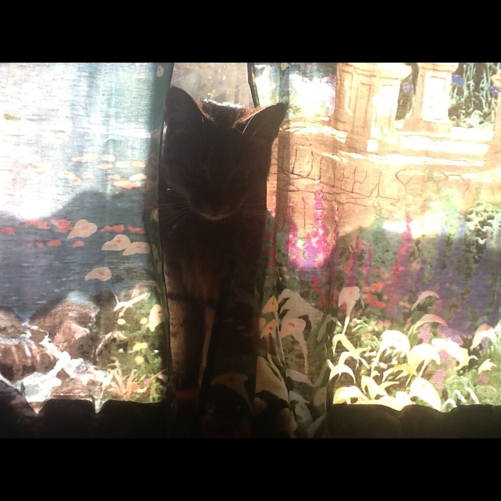 Meet your Posher, Dar